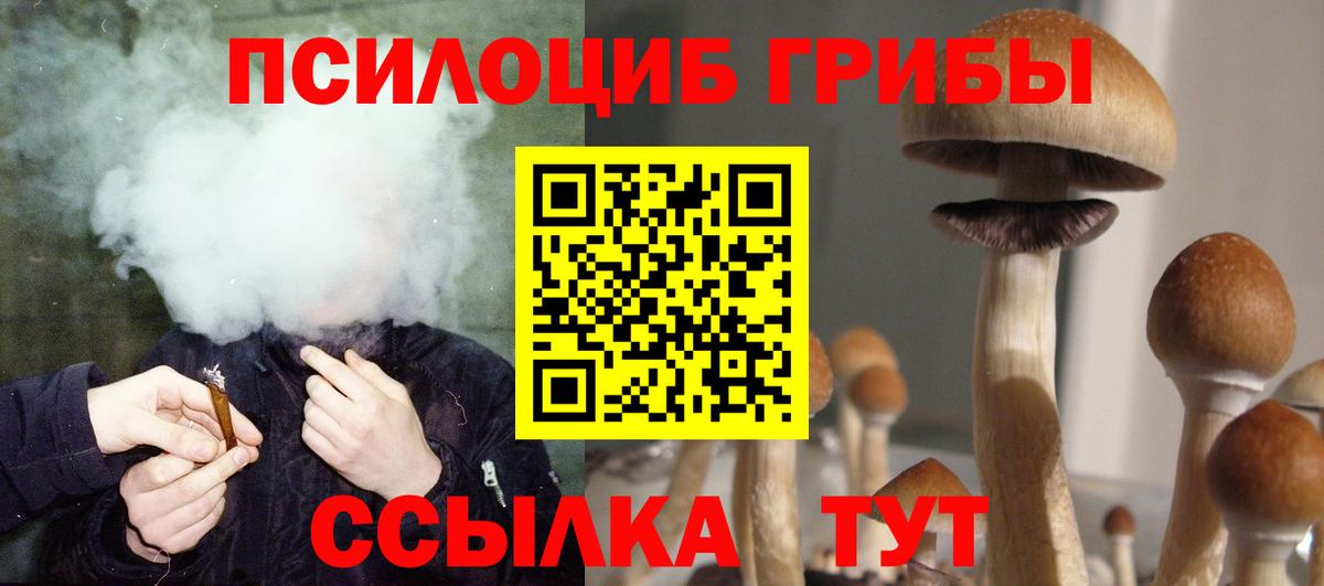 Псилоцибиновые грибы Magic Shrooms Кумертау
